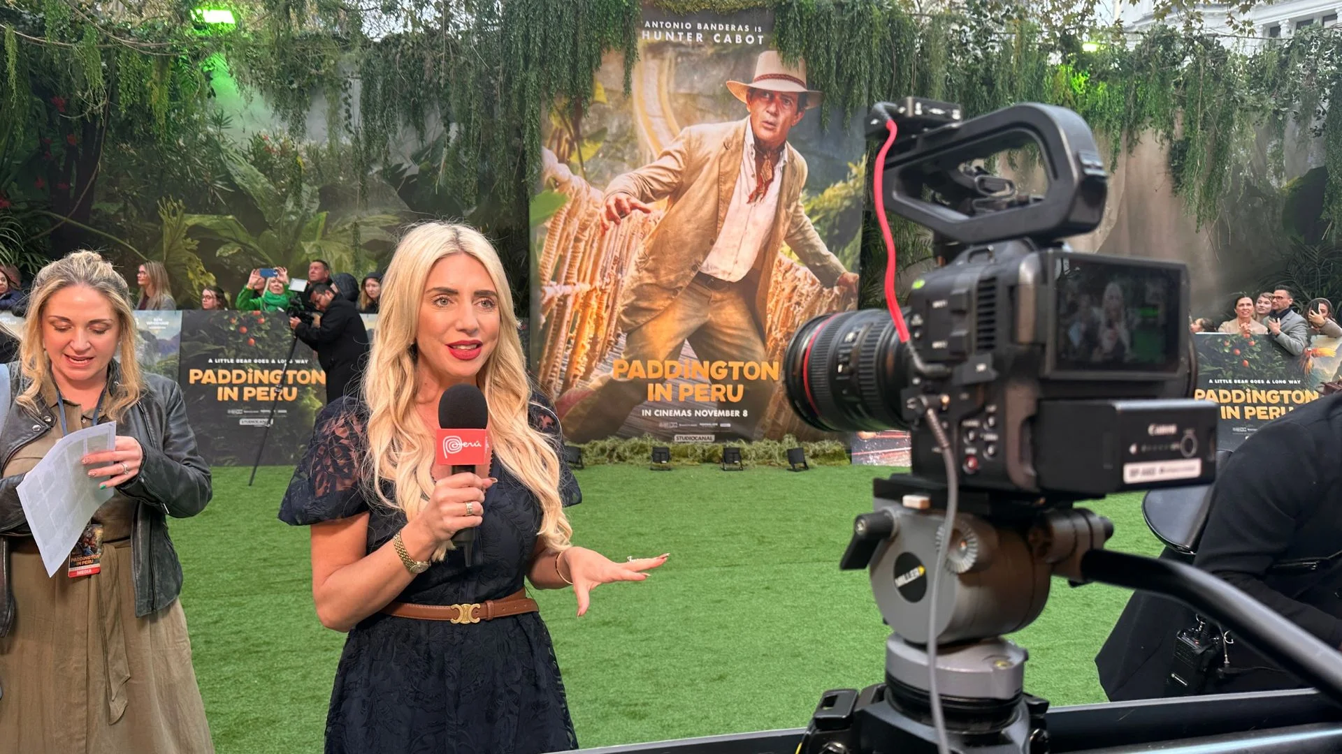 Blonde presenter speaks into a microphone on a green carpet, film poster behind her. Photograph.