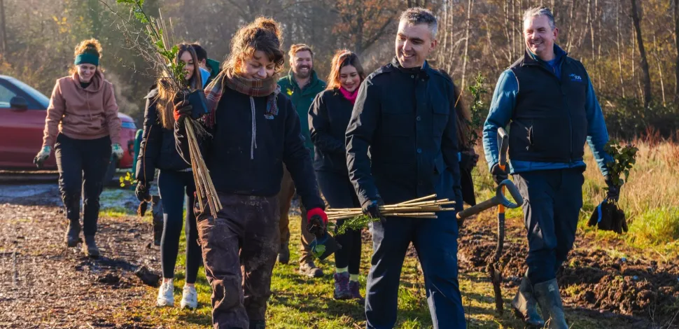 Photograph: Volunteers carrying saplings, walking on a dirt track to plant trees.