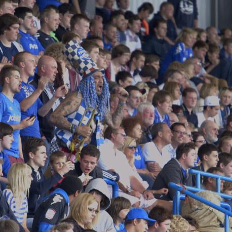 Football fans in stadium