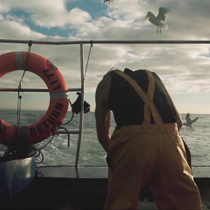 Fisherman aboard a boat inspecting fish
