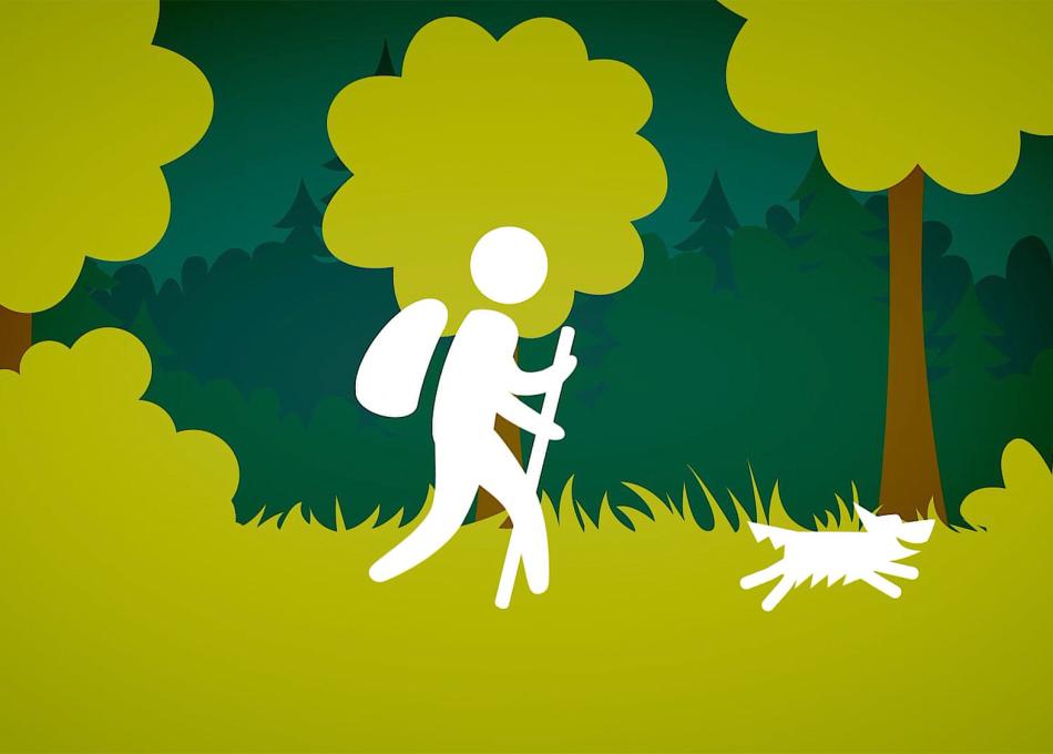 Illustration of person walking through the green woods with their dog