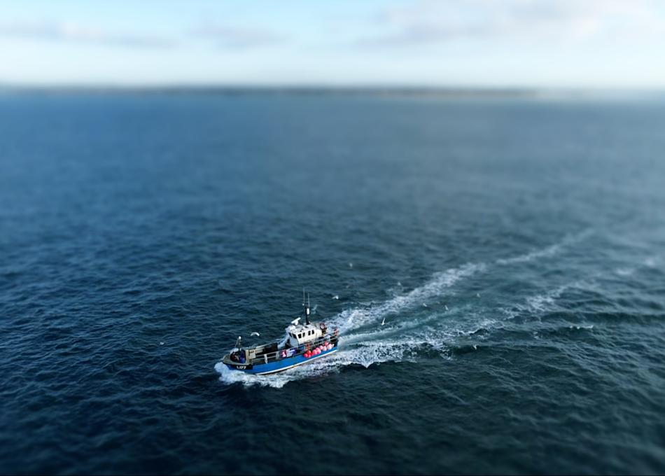Photograph: Small fishing boat sailing across deep blue water, leaving a prominent white wake.
