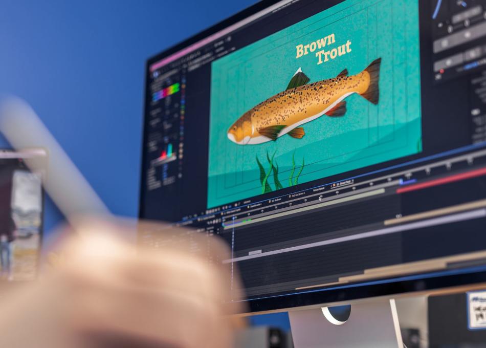 behind the scenes Fern working on an animation for hampshire and isle of wight wildlife trust