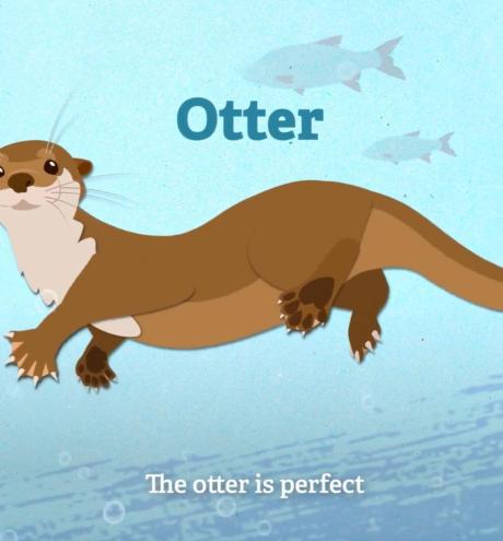 animated otter for Hampshire and Isle of Wight Wildlife Trust trail animations