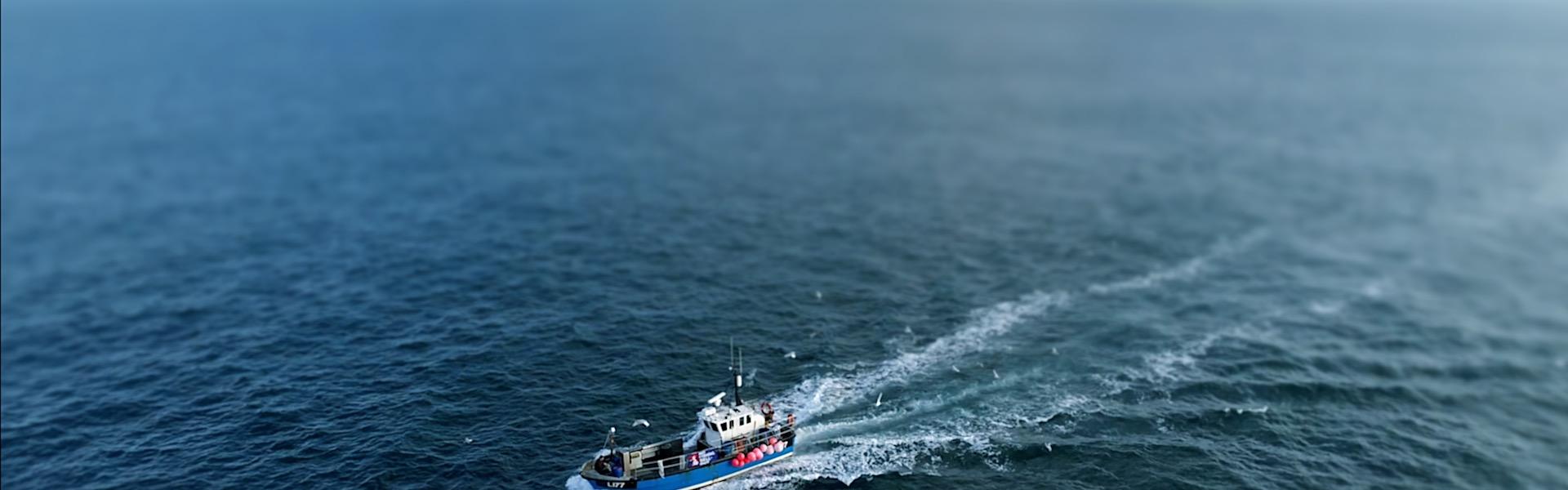 Photograph: Blue and white fishing boat on the open sea, leaving a white wake.