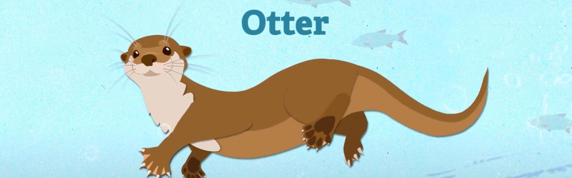 animated otter for Hampshire and Isle of Wight Wildlife Trust trail animations